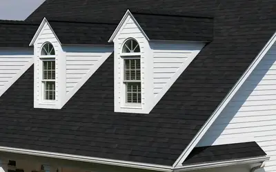 Owens Corning TruDefinition Duration AR: Onyx Black