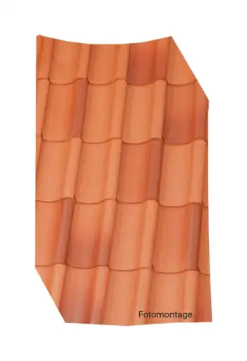 Jacobi H2: Фризький строкатий, сольовий випал (friesisch-bunt Salzbrand)