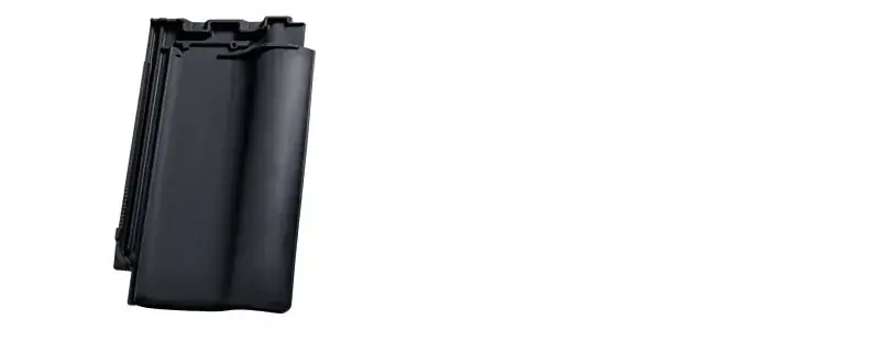 Nelskamp F 10 PRO