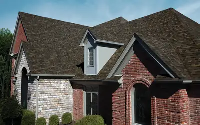 Owens Corning TruDefinition Duration Designer AR: Black Sable