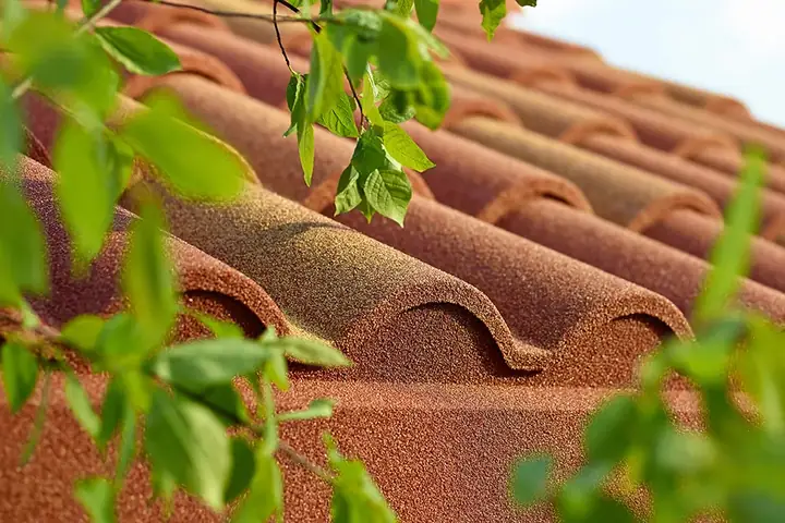 Фото Metrotile Romana №2