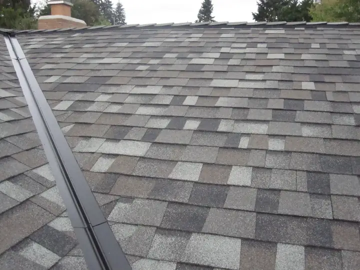 Фото Owens Corning TruDefinition Duration Designer AR №3
