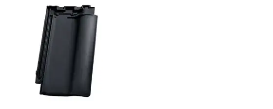Nelskamp F 10 PRO